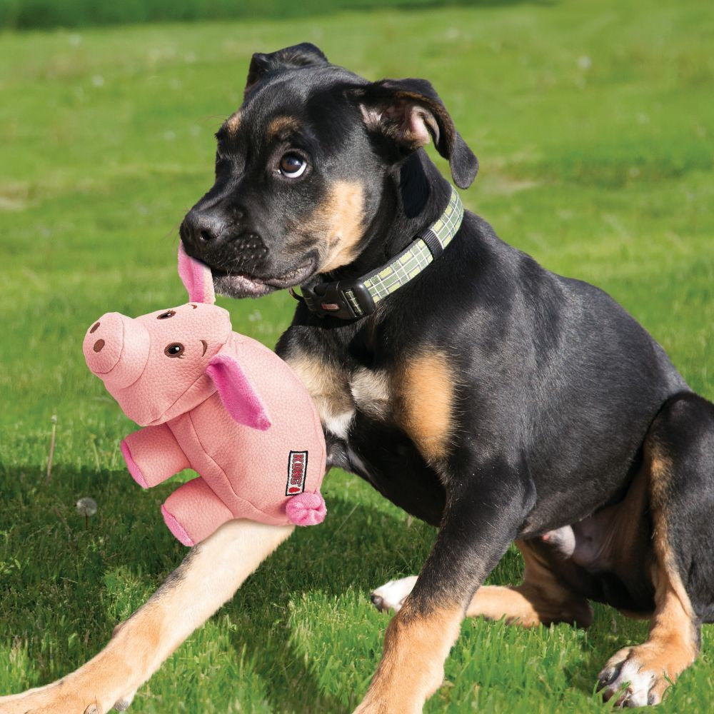Kong Phatz Pig Small.