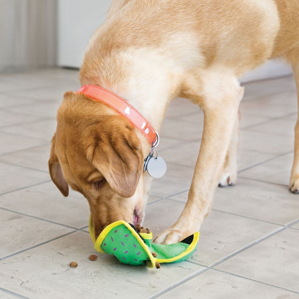 Kong Ballistic Hide N Treat Assorted Medium.