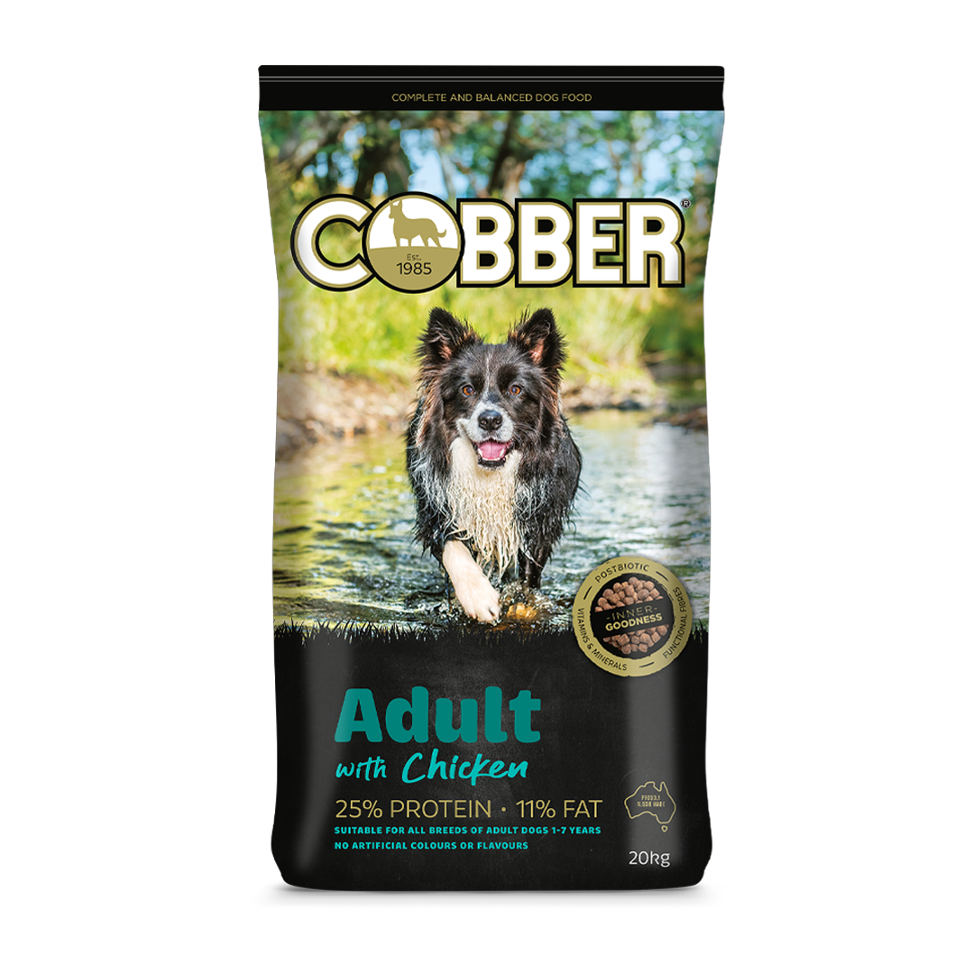 Cobber Adult with Chicken 20kg .