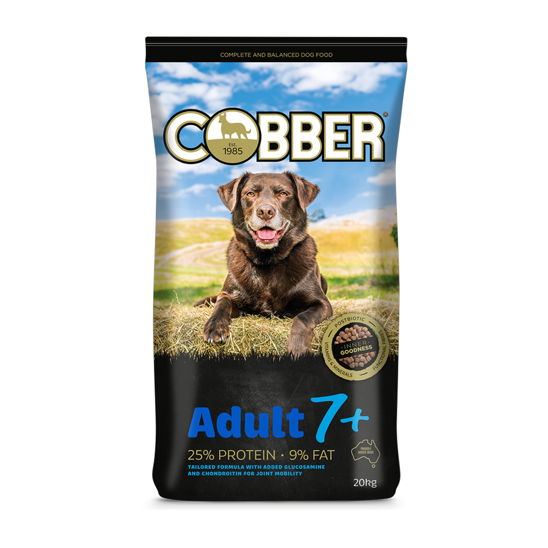 Cobber Adult 7+ 20kg .