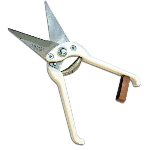 Bainbridge Superior Hoof Shears.