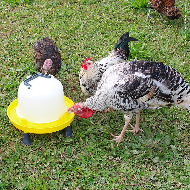 Bainbridge Poultry Drinker With Handle 10ltr.