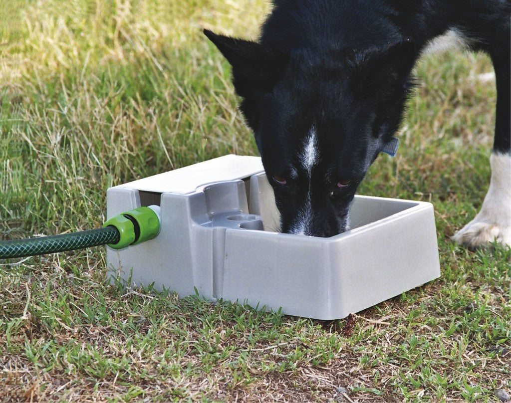 Bainbridge Automatic Pet Waterer.