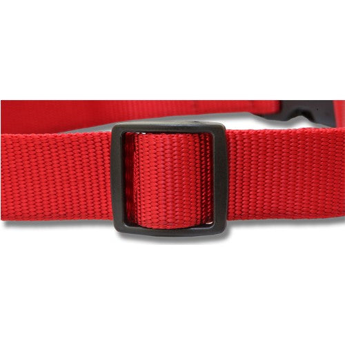 Bainbridge Nylon Dog Collar With Double D Ring Large 2.5x45-68cm.