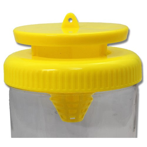 Bainbridge Fly Trap 1.3l.