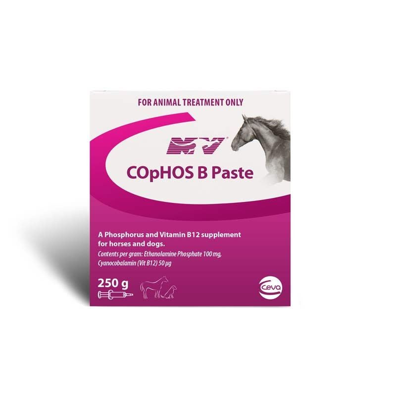 Nature Vet Cophos B Paste 250gr