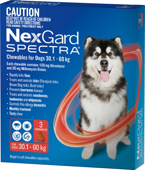 Nexgard Spectra 30.1kg-60kg 3 Pack Chewables For Dogs .