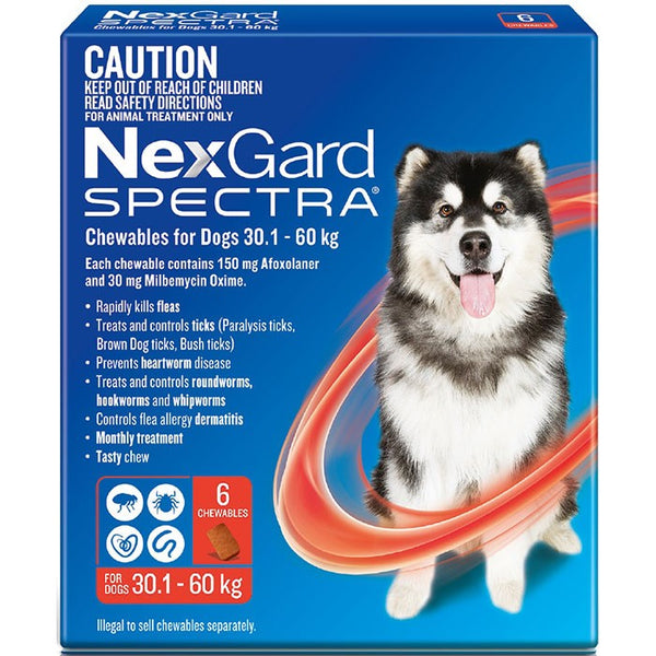 NEXGARD SPECTRA 30.1KG-60KG 6 PACK CHEWABLES FOR DOGS