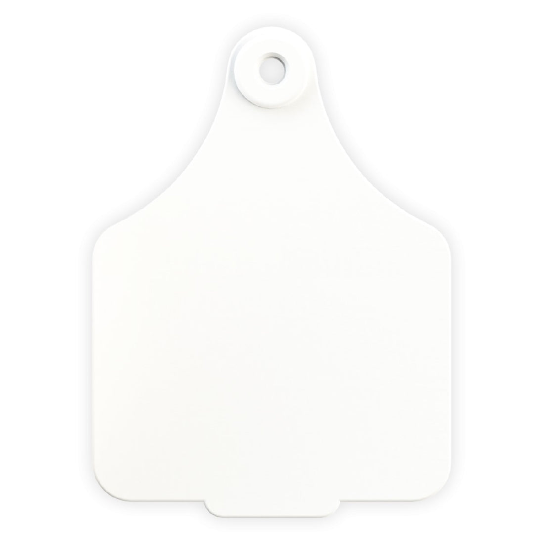 Leader Ear Tags Female Large White Each