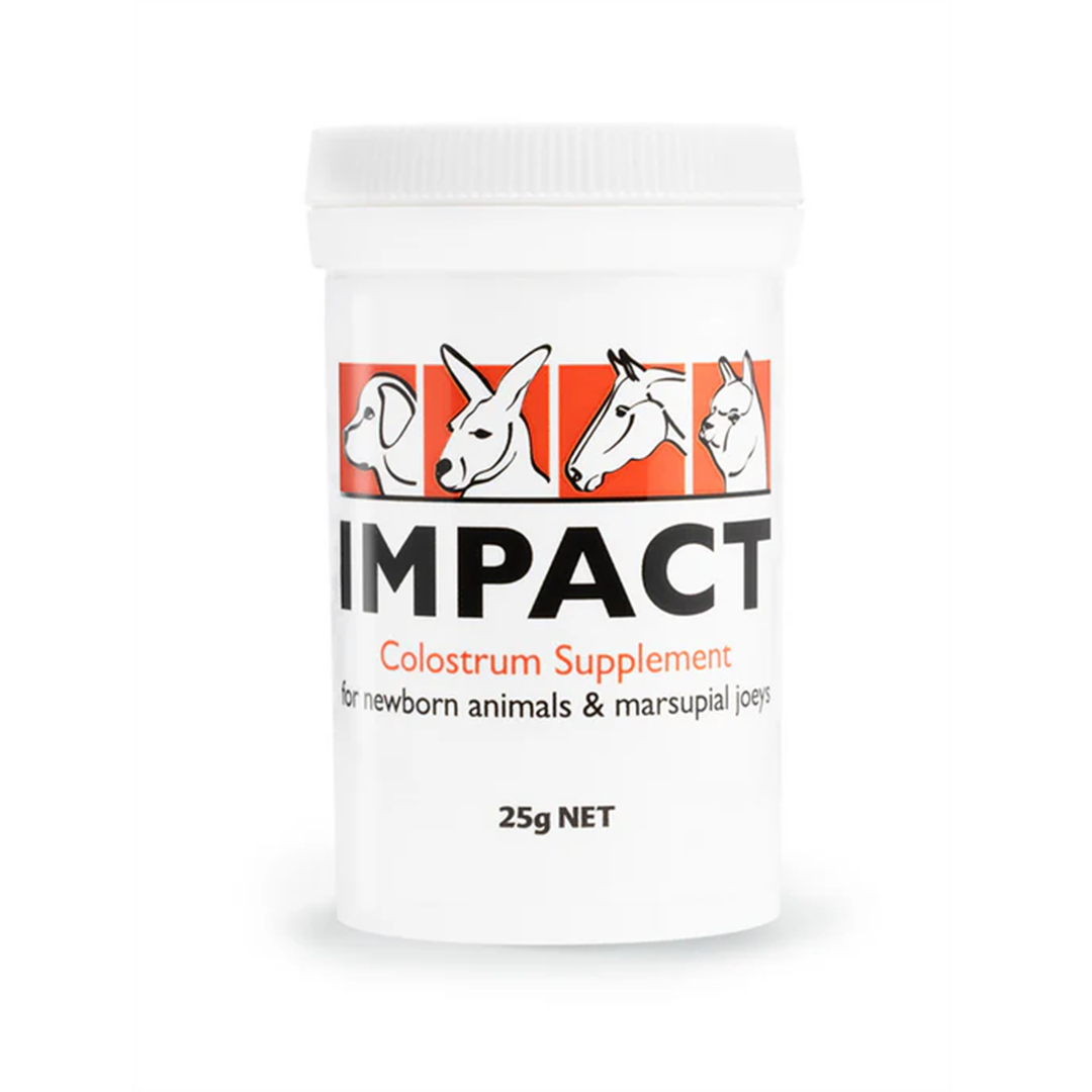 Impact Colostrum 25g.