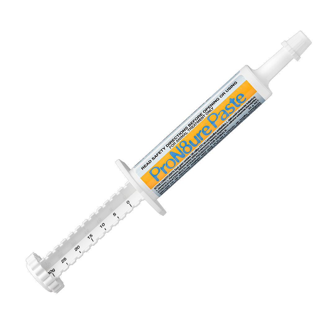 Iah Protexiin Paste 30g.