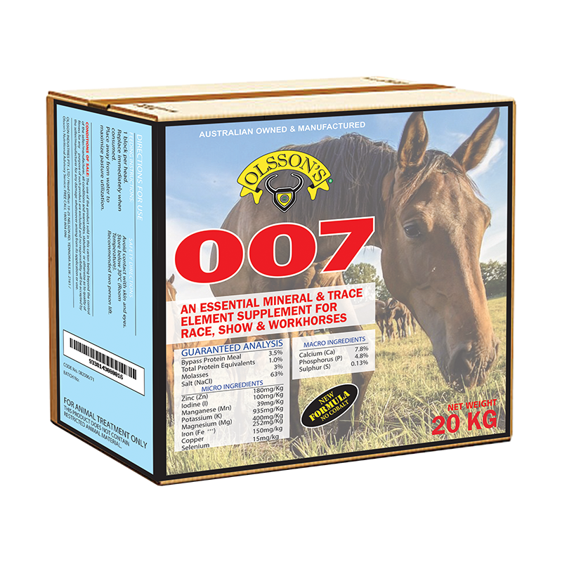 Olsson 007 Horse Bricks 2kg (12 In Box).