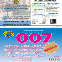 Olsson 007 Horse Bricks 2kg (12 In Box).