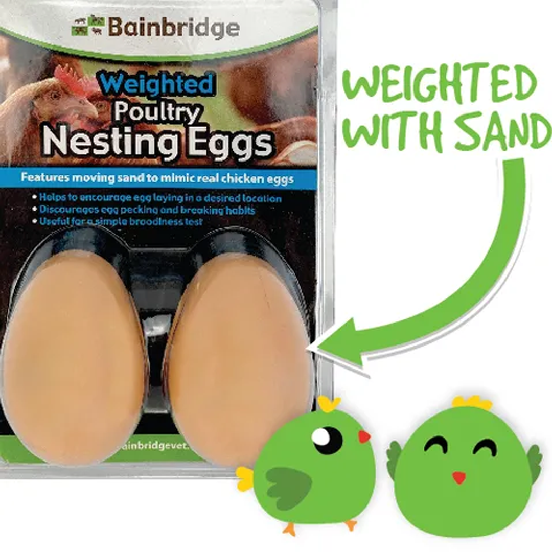 Bainbridge Weighted Poultry Nesting Egg - 2 Pack
