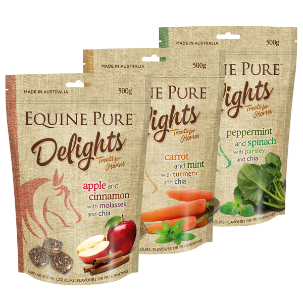 EQUINE PURE DELIGHTS PEPPERMINT AND PARSLEY HORSE