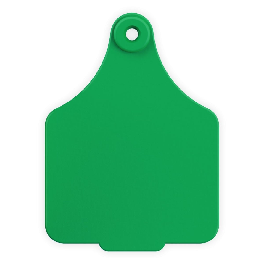 Leader Ear Tags Female Large Green Each