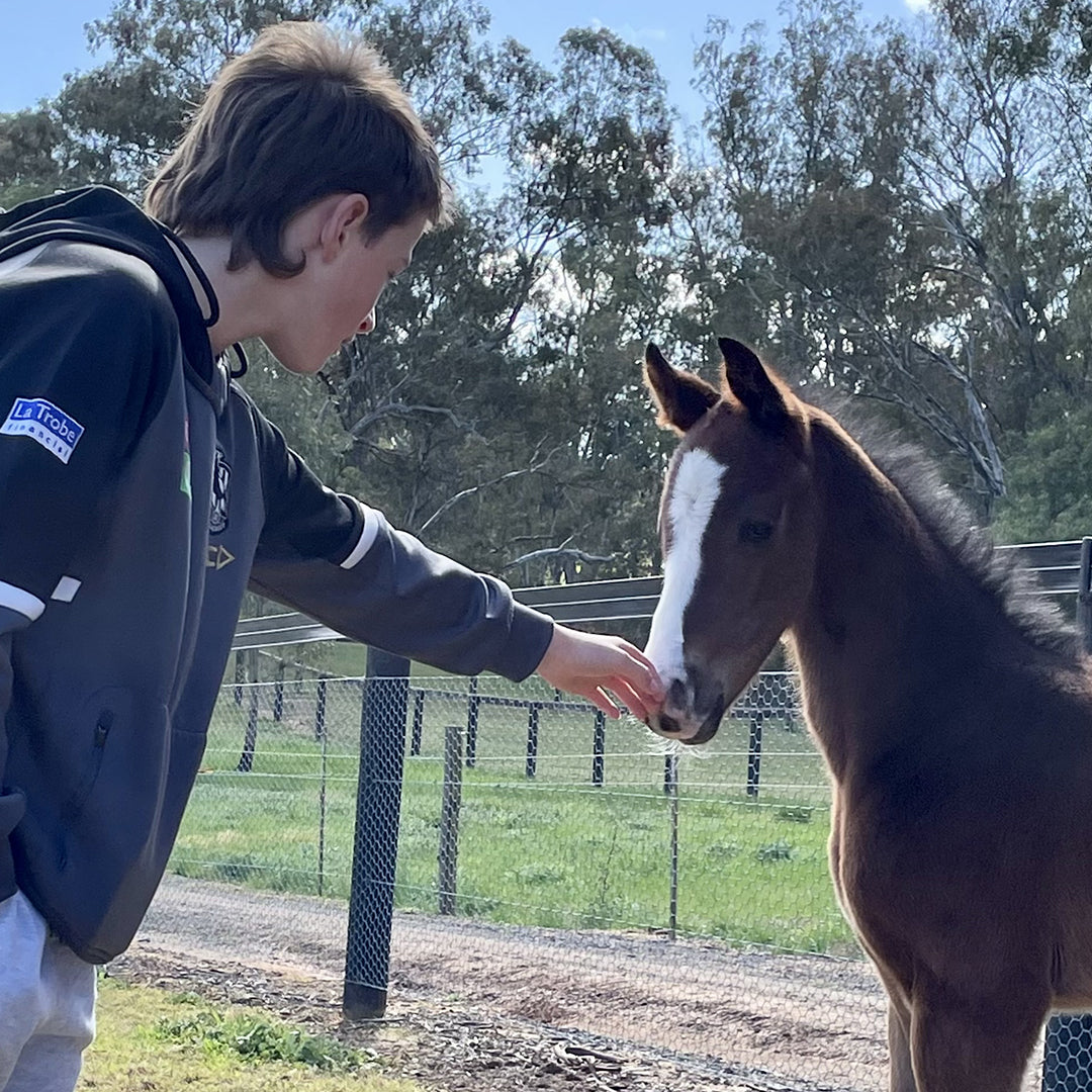 Melbourne Cup Trading Hours 2022