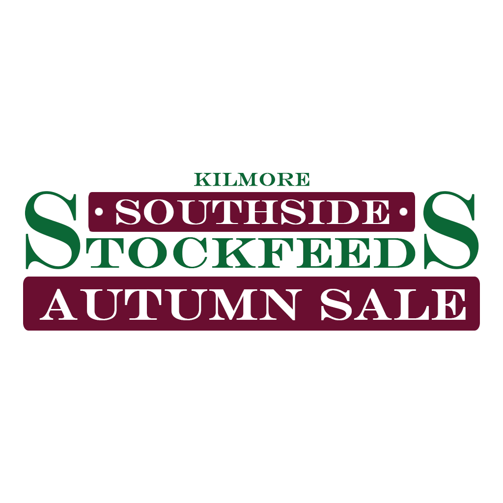 Autumn Sale