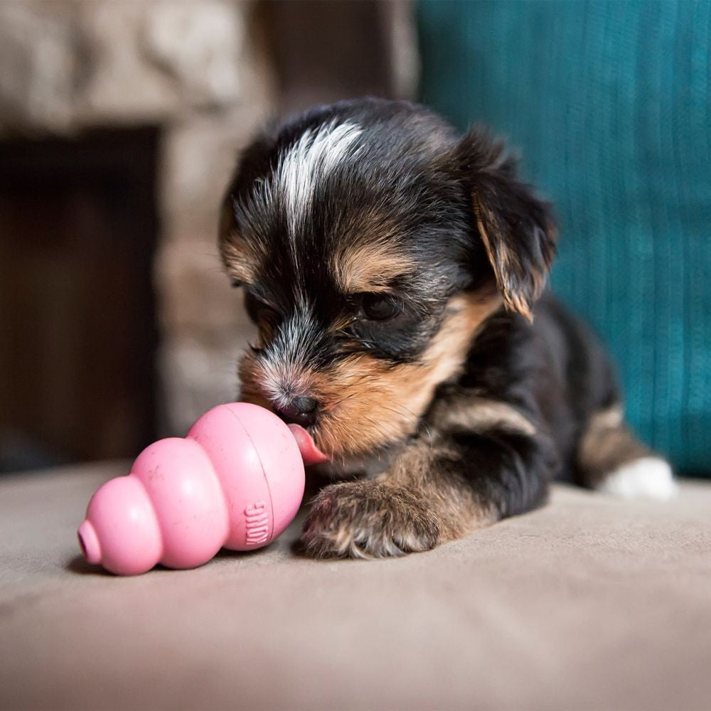 Kong Classic Puppy Large. [sz:large]