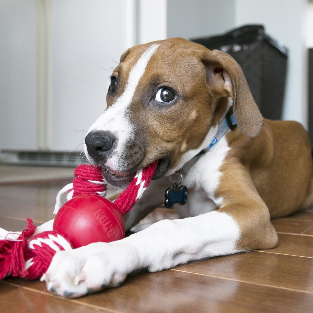 Kong Ball With Rope Small Red.