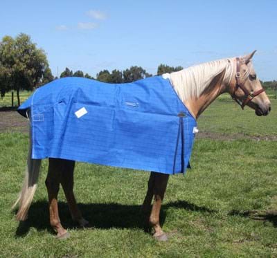 Skye Park Oxford Canvas Gussets. [ft:4.6]