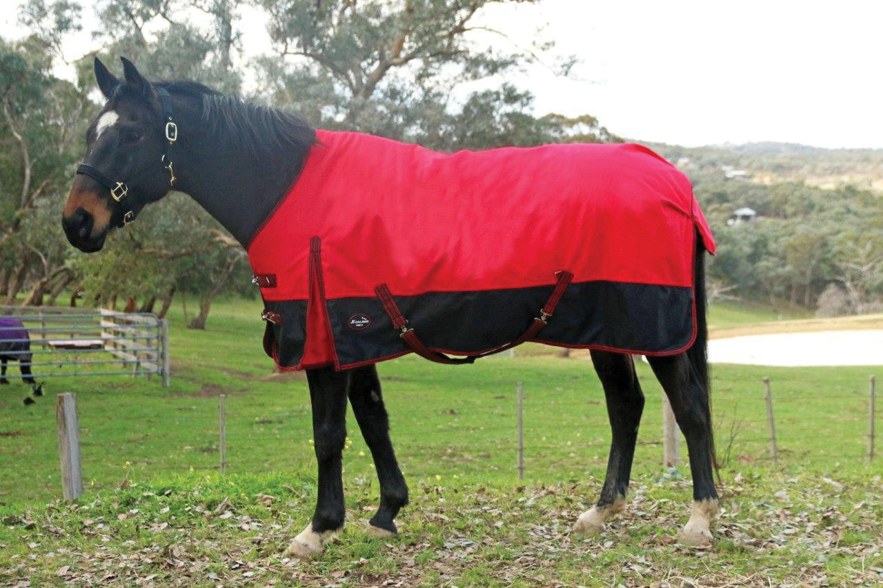 X-caliber 1200 200g Denier Winter Rug 6'3". [ft:6.3]