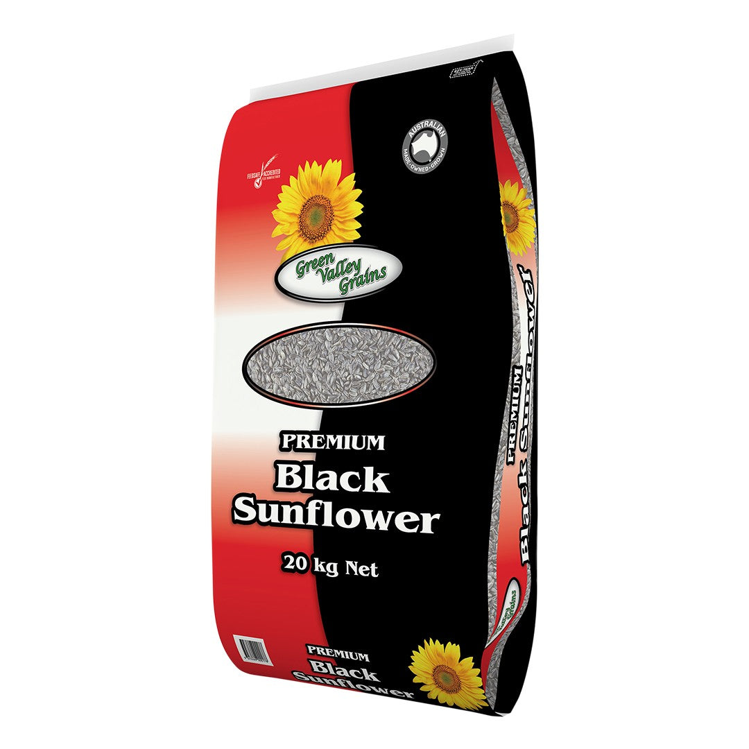 Black Sunflower 20 Kg All Suppliers 