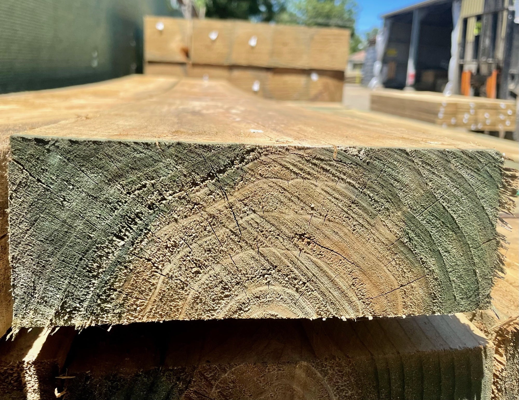 Pine Post Sleeper. 2.4 50x200mm [m:2.4m Mm:50x200mm]