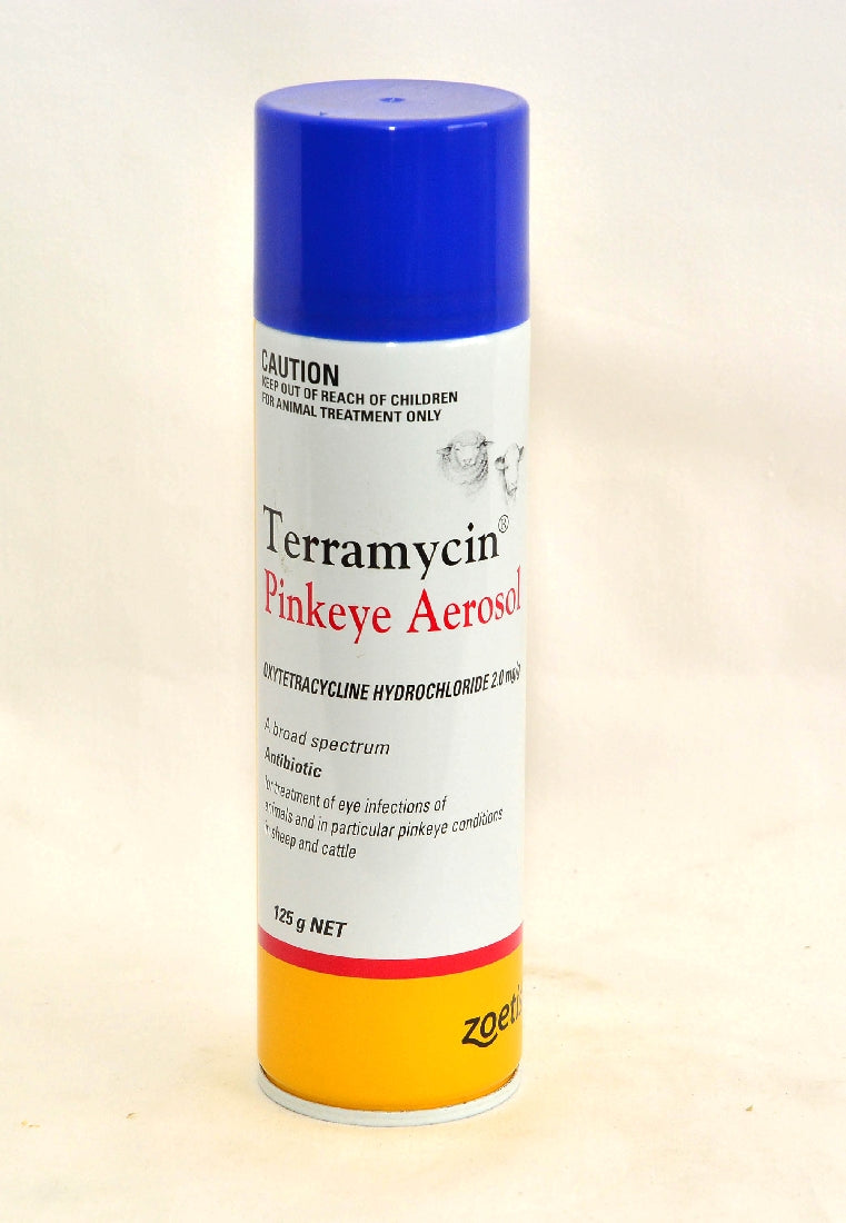 TERRAMYCIN PINKEYE AEROSOL 125G