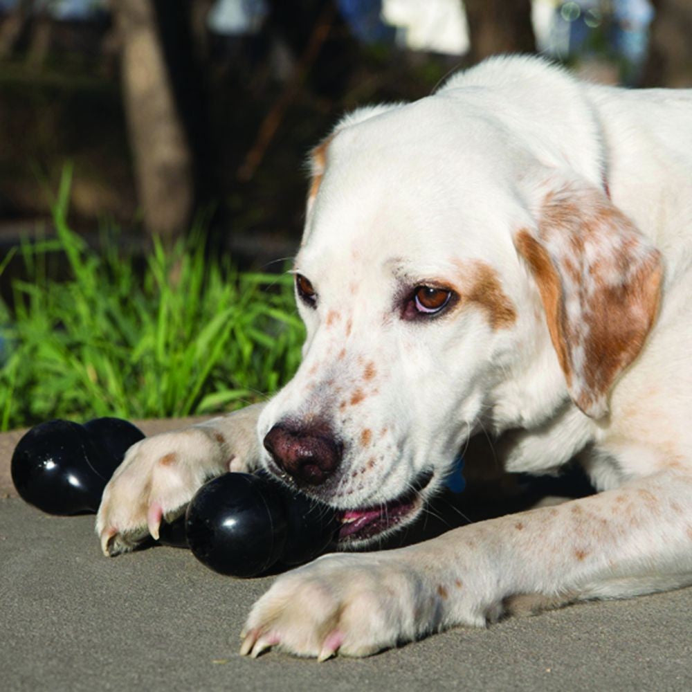 Kong Goodie Bone Medium Black.