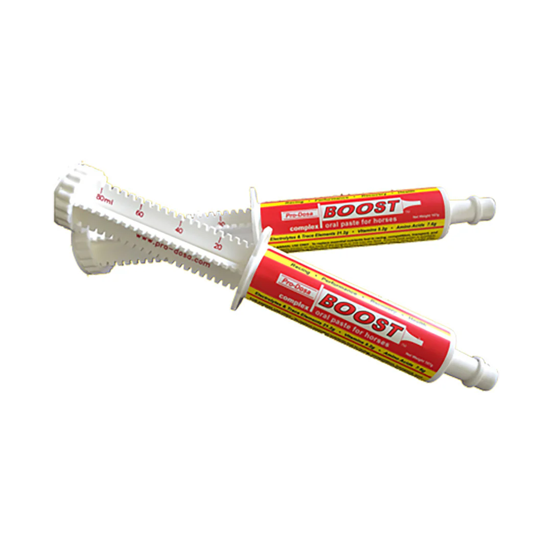Boost Oral Paste For Horses 80ml