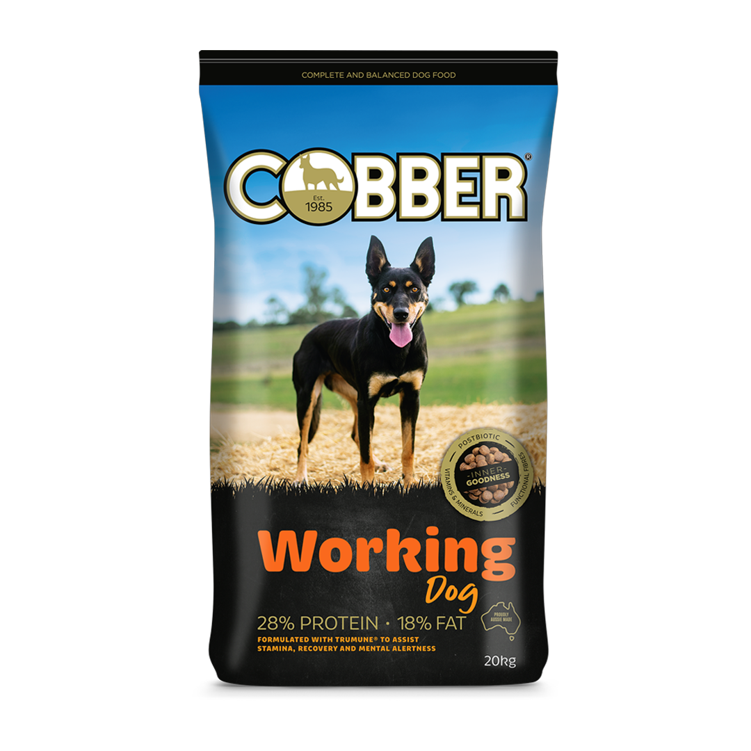 Cobber Working Dog 20kg .
