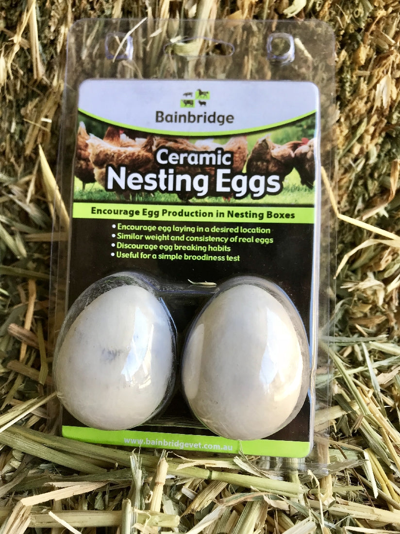 NESTING EGGS CERAMIC PACK 2