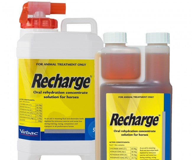 VIRBAC RECHARGE HORSE 5LT