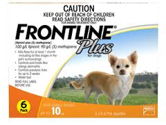 FRONTLINE Plus Dog Orange SML UP TO 10KG 6 TREATMENTS