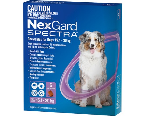 NEXGARD SPECTRA 15.1KG-30KG 6 PACK CHEWABLES FOR DOGS