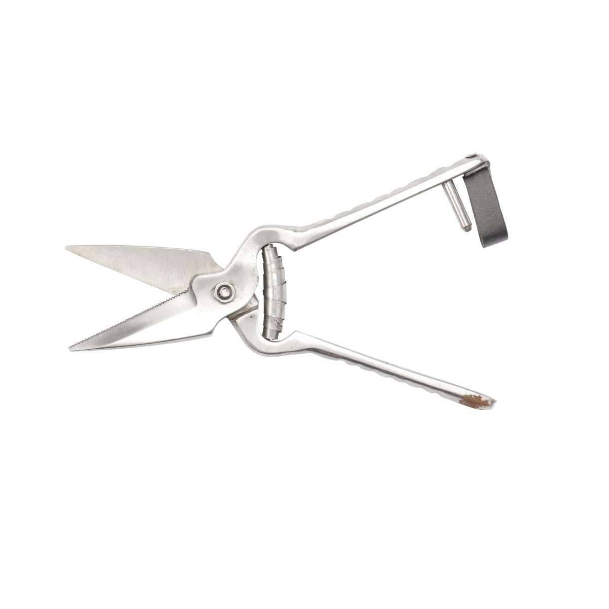 Leader Shears Footrot Std.