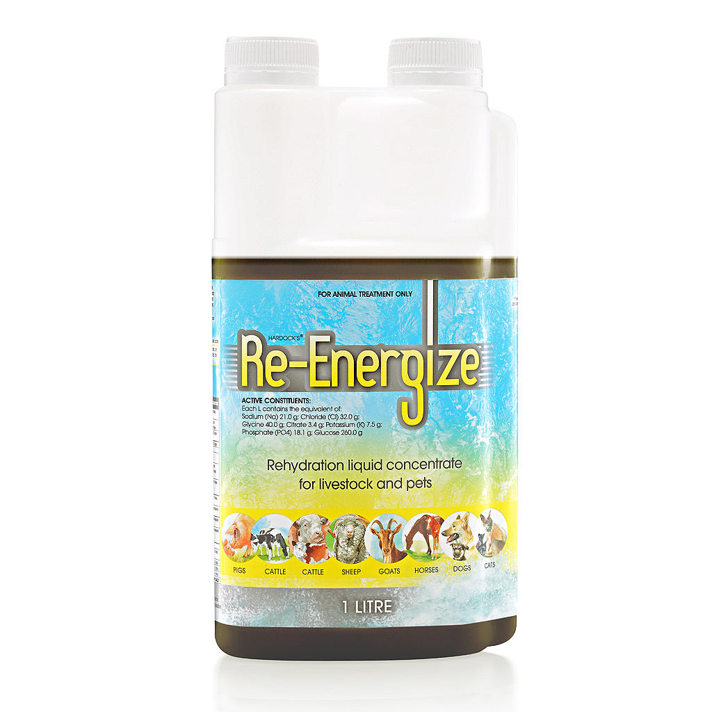 IAH Re- Energize 1L