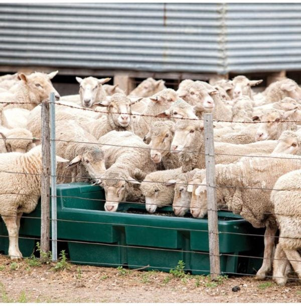 Polymaster Supa Trough [LTR:250LTR]