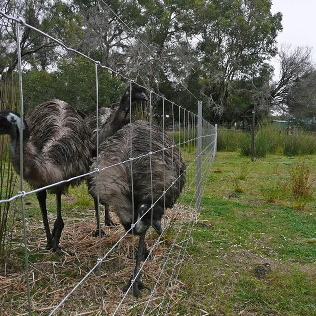 Southern Wire Farm Fence 8/90/30 200m