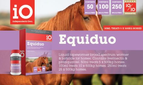 IO EQUIDUO ALL WORMER 250ML