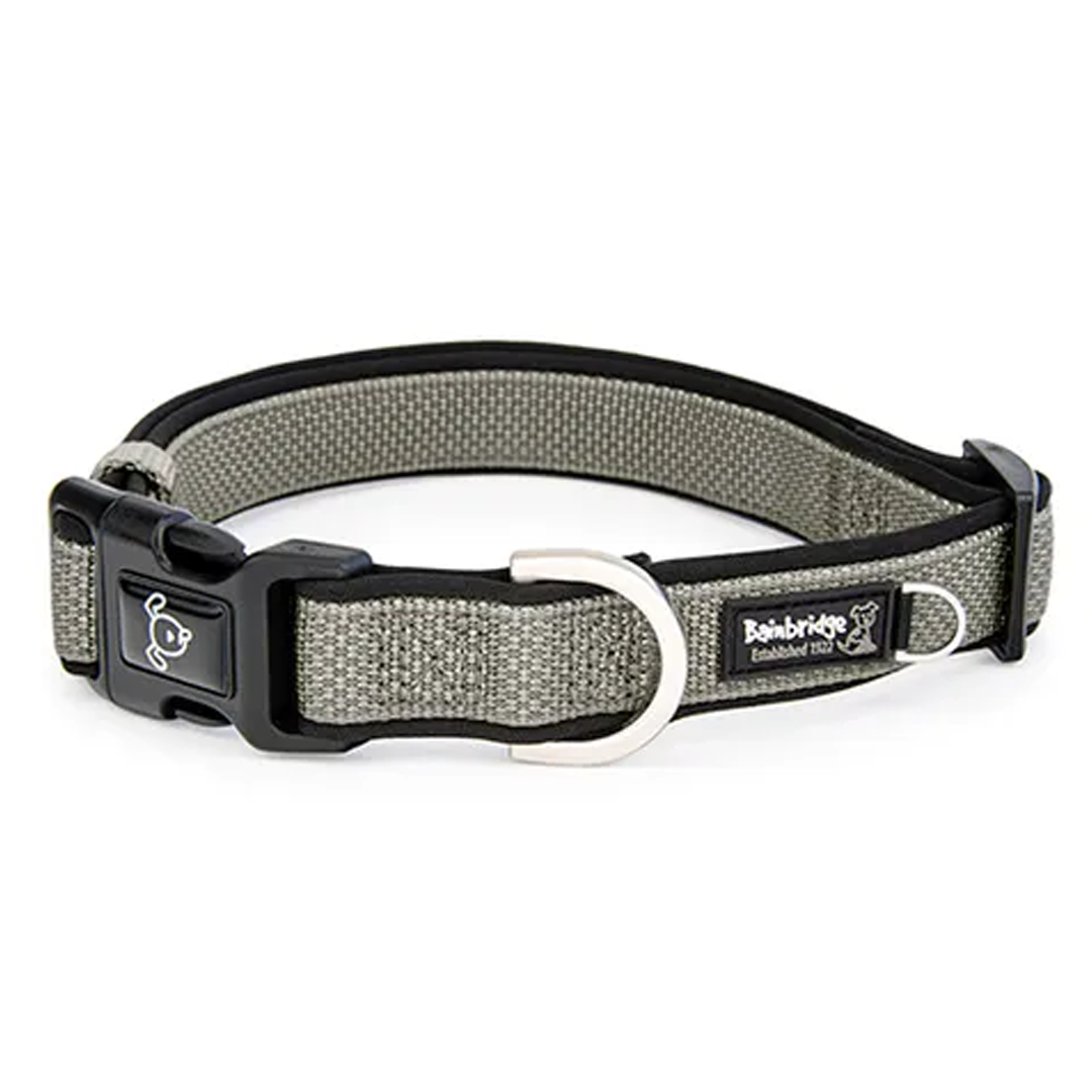 Bainbridge Premium Sport Dog Collar with Neoprene [SZ:XS CLR:Silver]