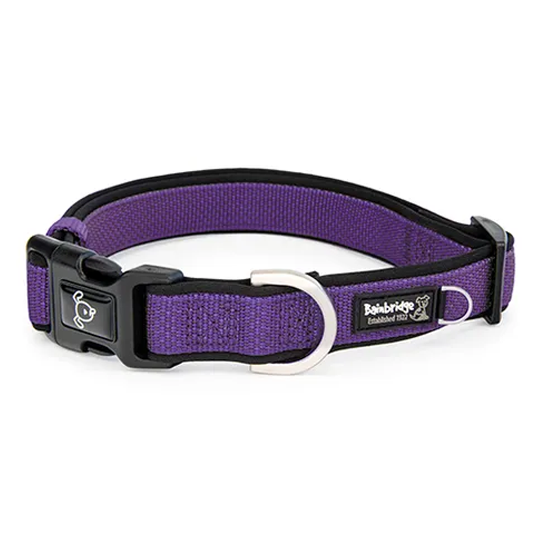 Bainbridge Premium Sport Dog Collar with Neoprene [SZ:M CLR:Purple]