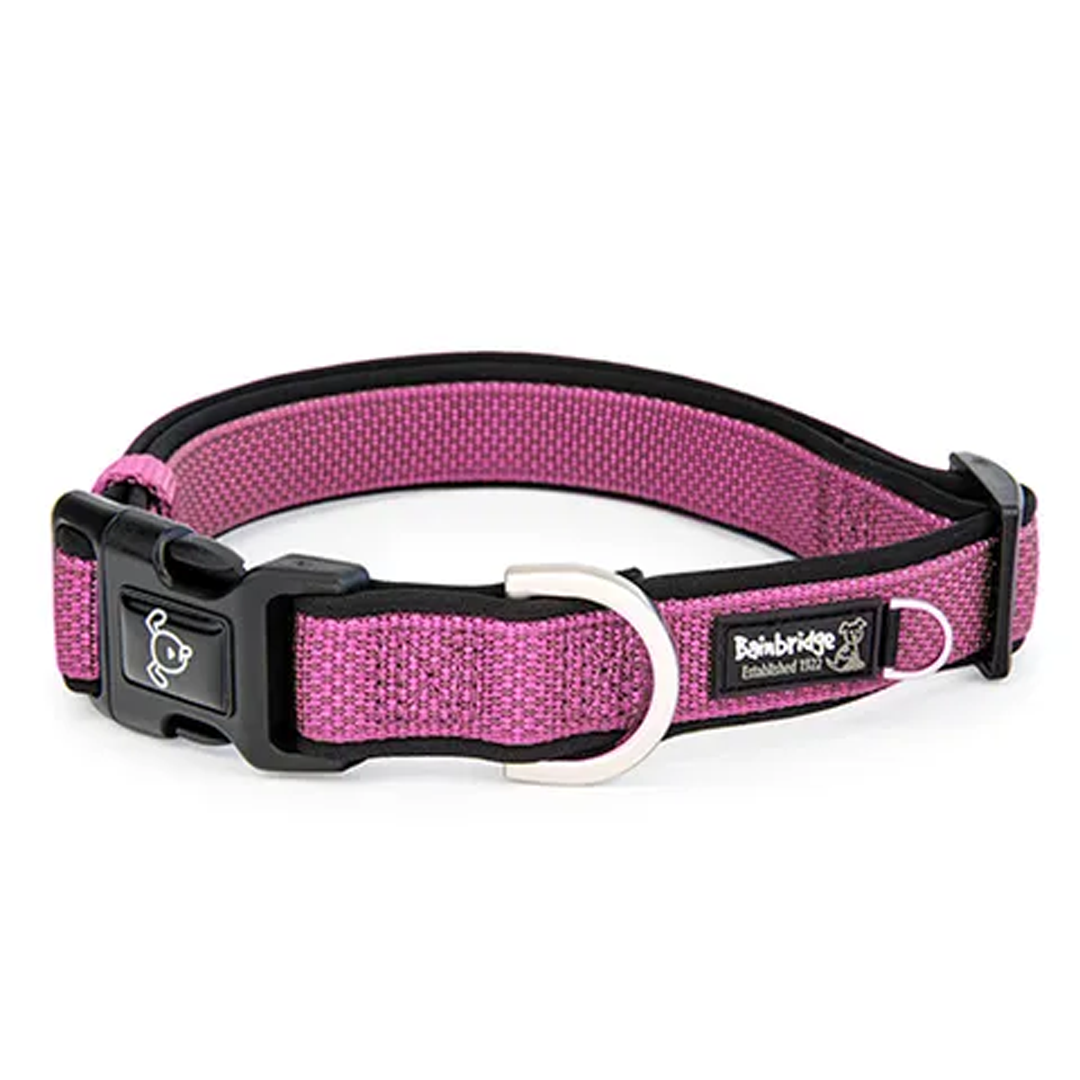 Bainbridge Premium Sport Dog Collar with Neoprene [SZ:L CLR:Pink]
