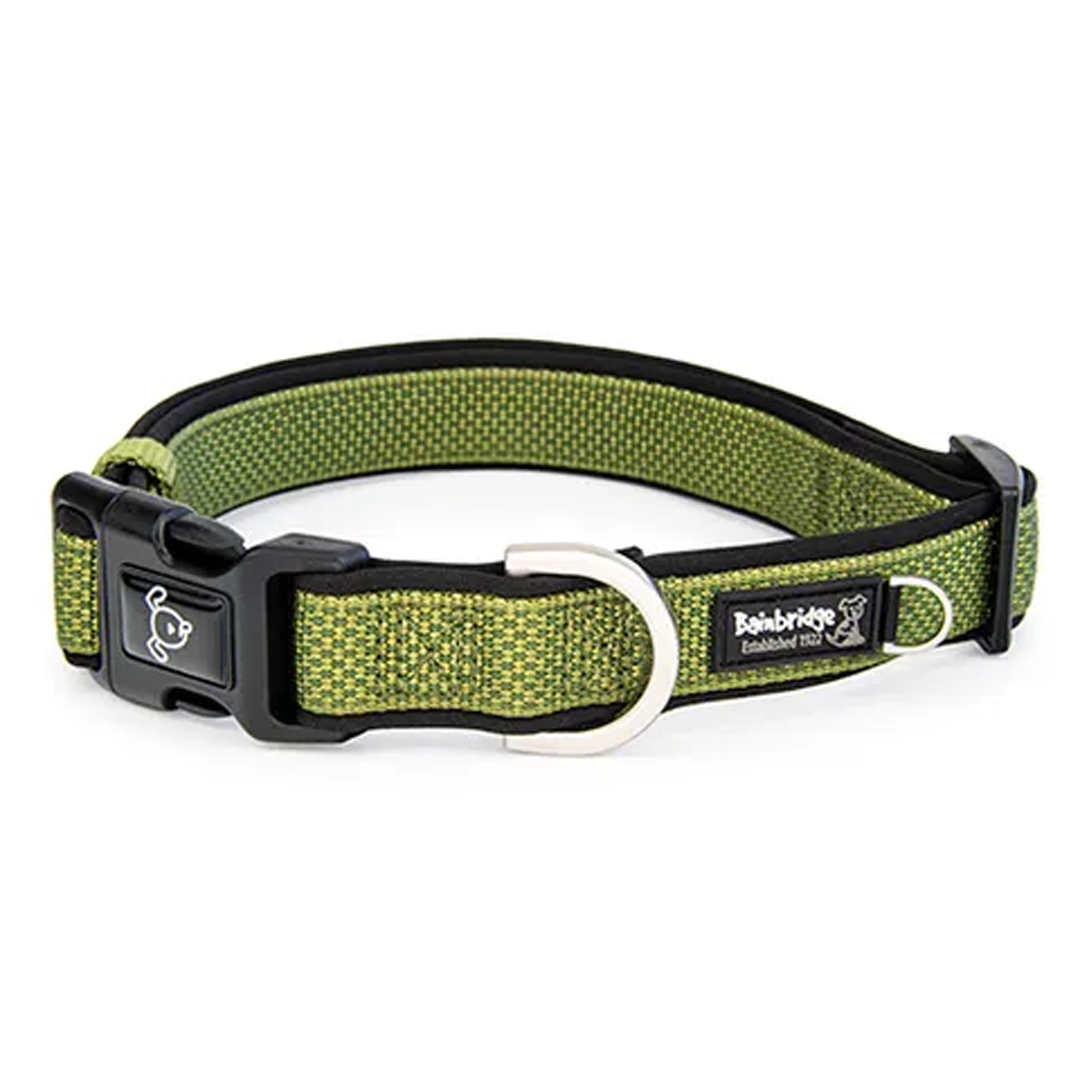 Bainbridge Premium Sport Dog Collar with Neoprene [SZ:L CLR:Green]