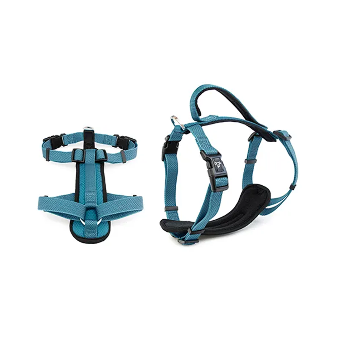 Bainbridge Dog Harness Premium Neoprene [SZ:M CLR:Blue]