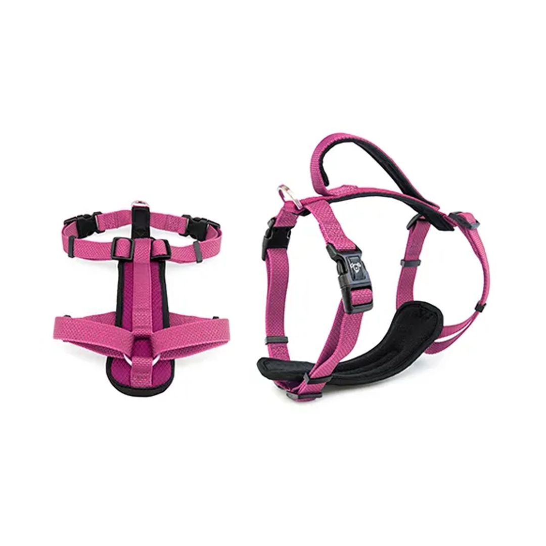Bainbridge Dog Harness Premium Neoprene [SZ:L CLR:Pink]