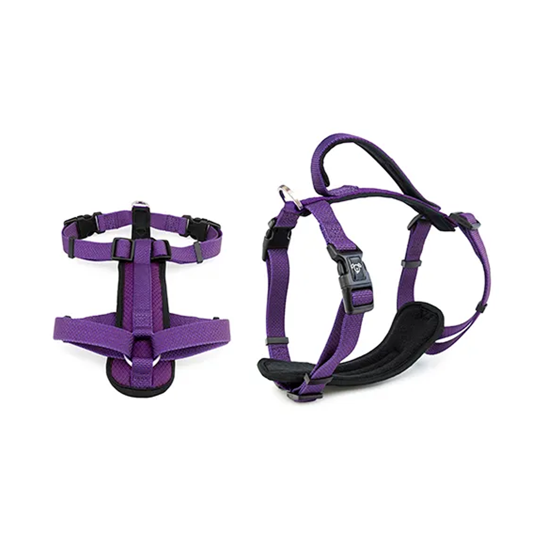 Bainbridge Dog Harness Premium Neoprene [SZ:L CLR:Purple]
