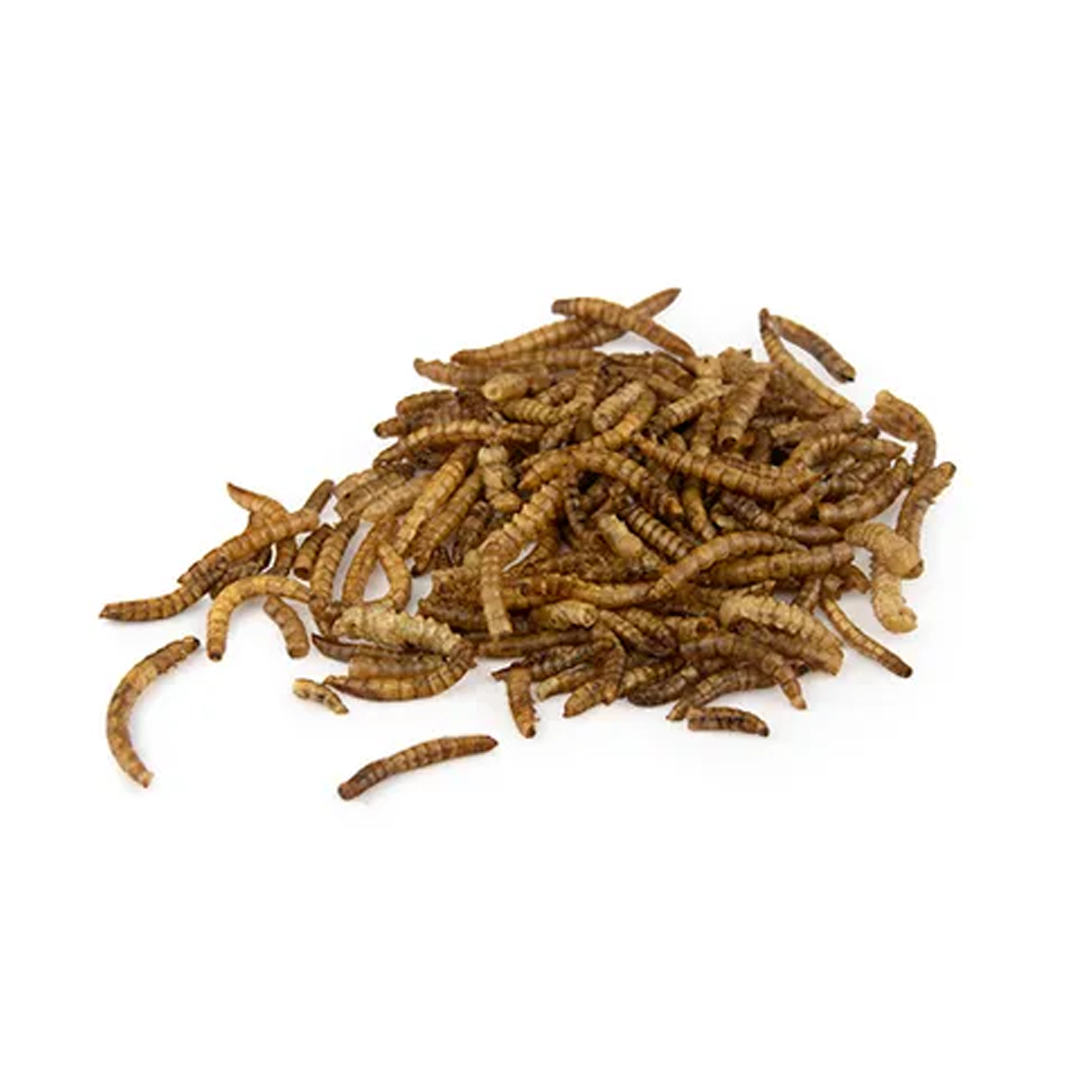 Bainbridge Dried Mealworms [G:750g]