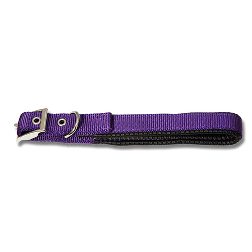 Bainbridge Dog Collar Padded [CM:65 CLR:Purple]